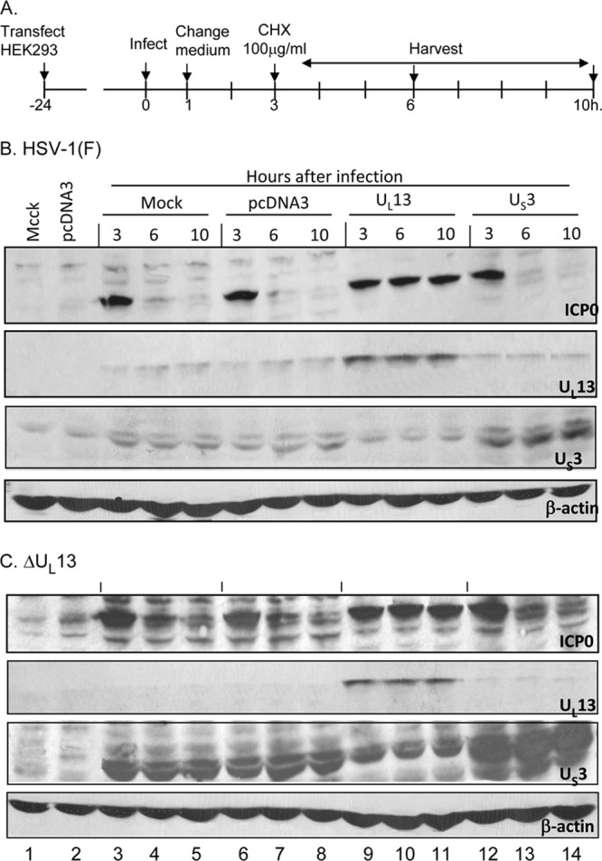 FIG 5