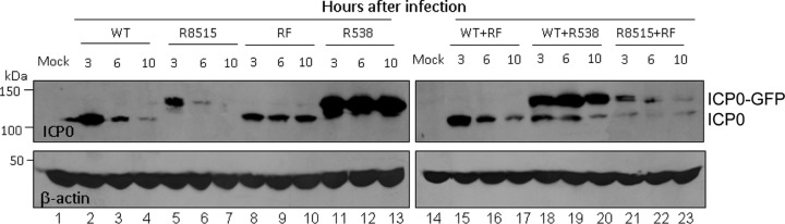 FIG 6