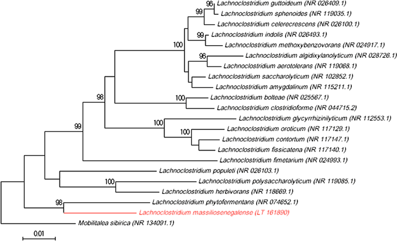 Fig. 1