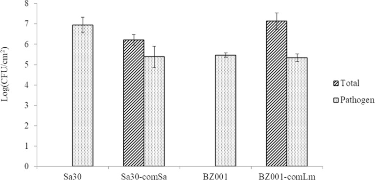 FIG 2