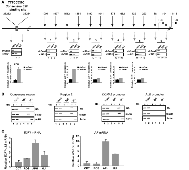 Figure 6