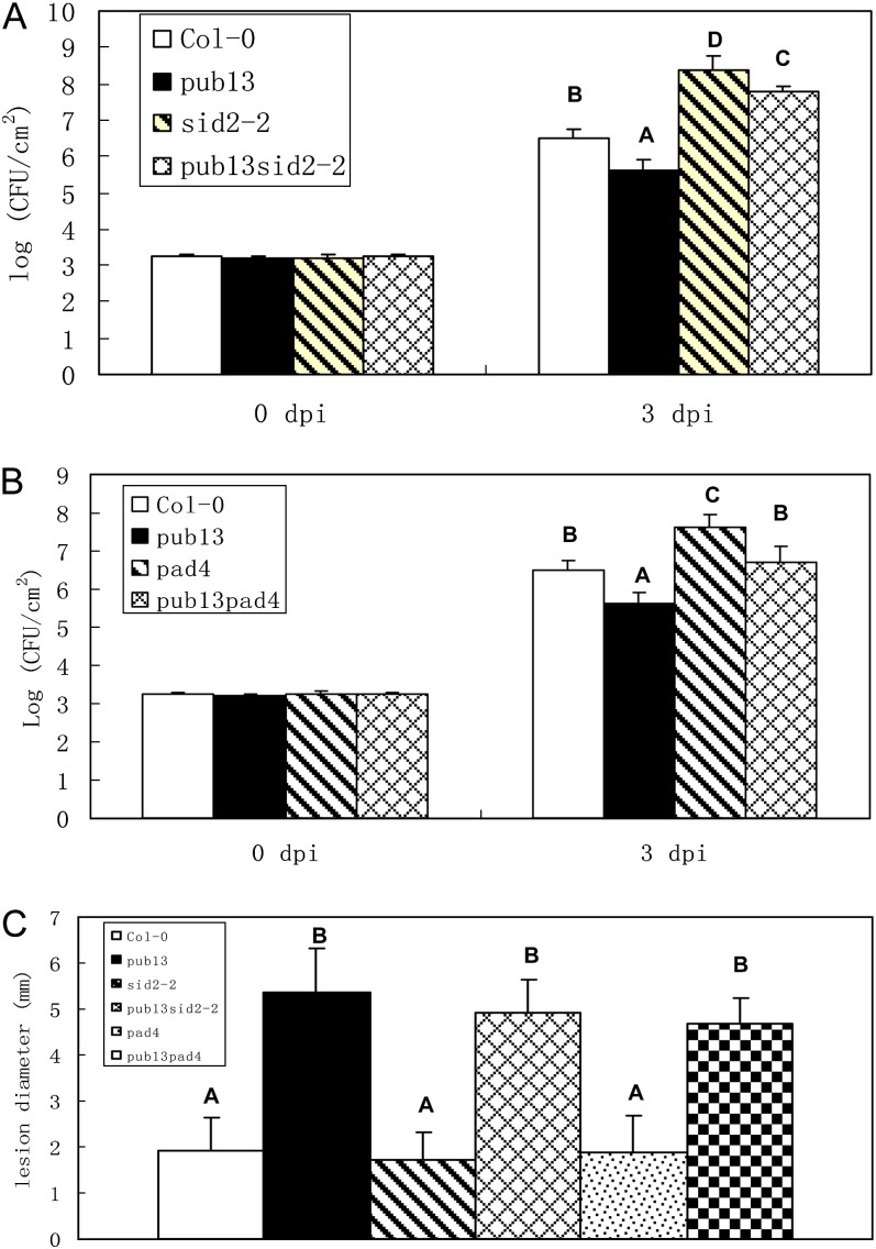 Figure 6.