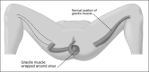 Figure 12.