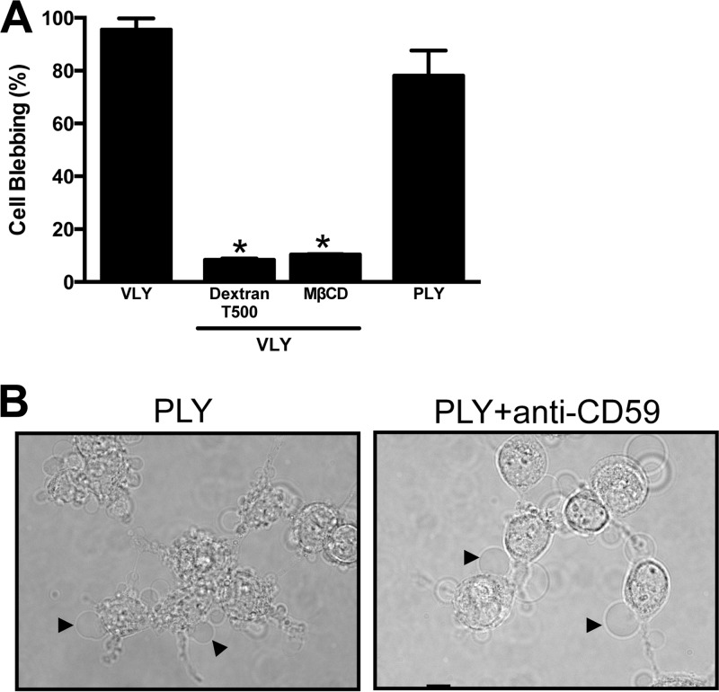 Fig 5