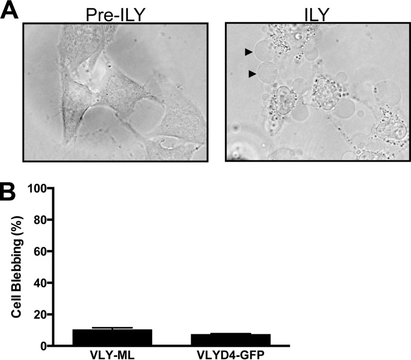 Fig 4