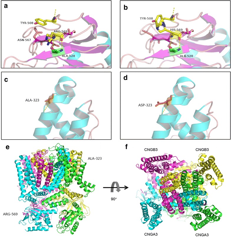 Fig. 3