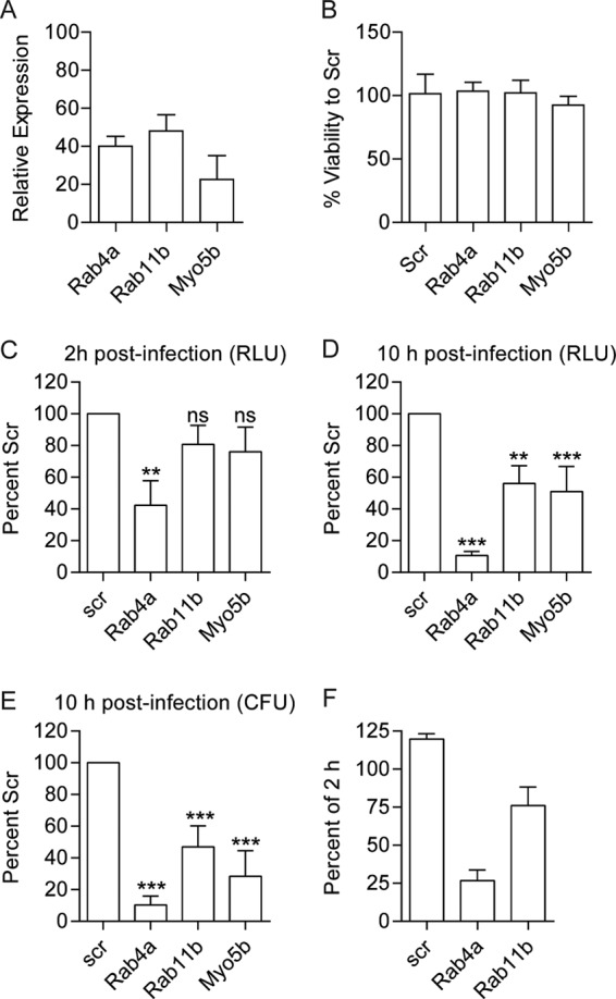 FIG 3 