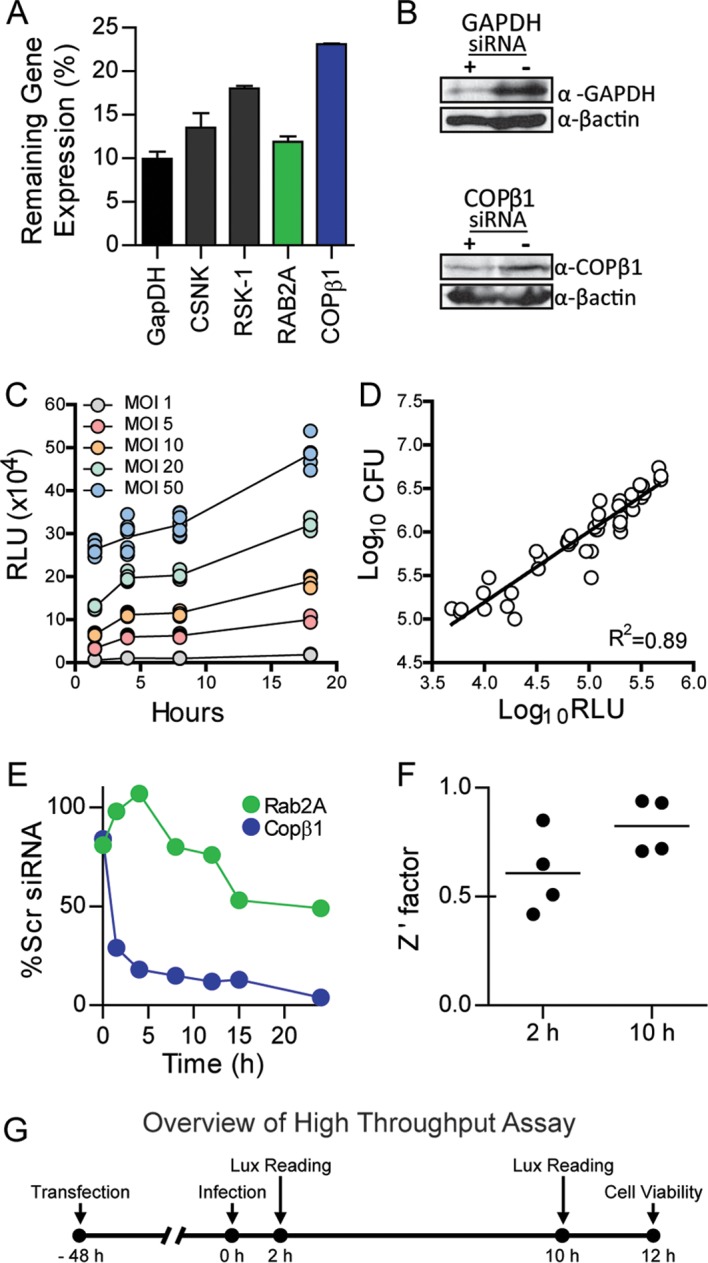 FIG 1 