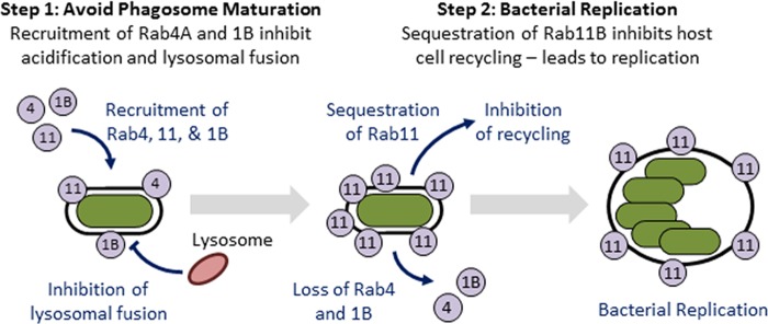 FIG 8 