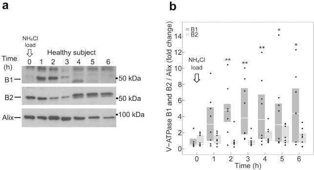 Figure 3 |