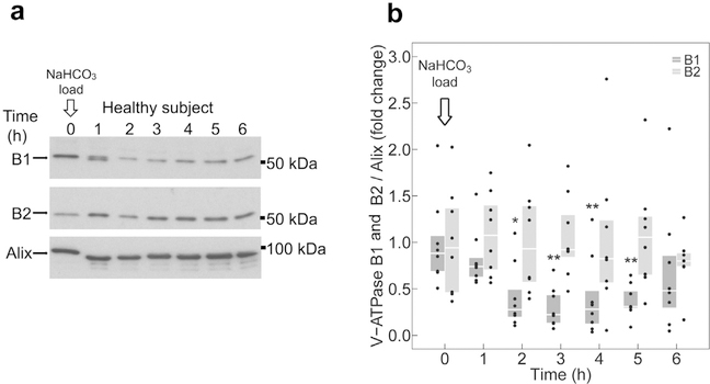 Figure 5 |