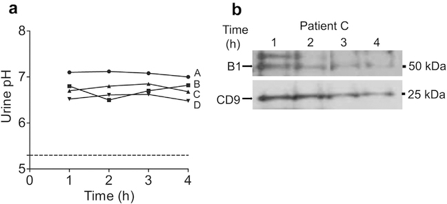 Figure 7 |