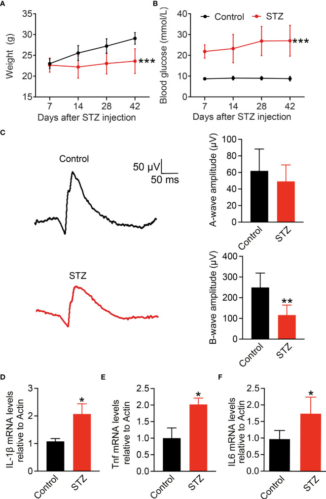 Figure 1