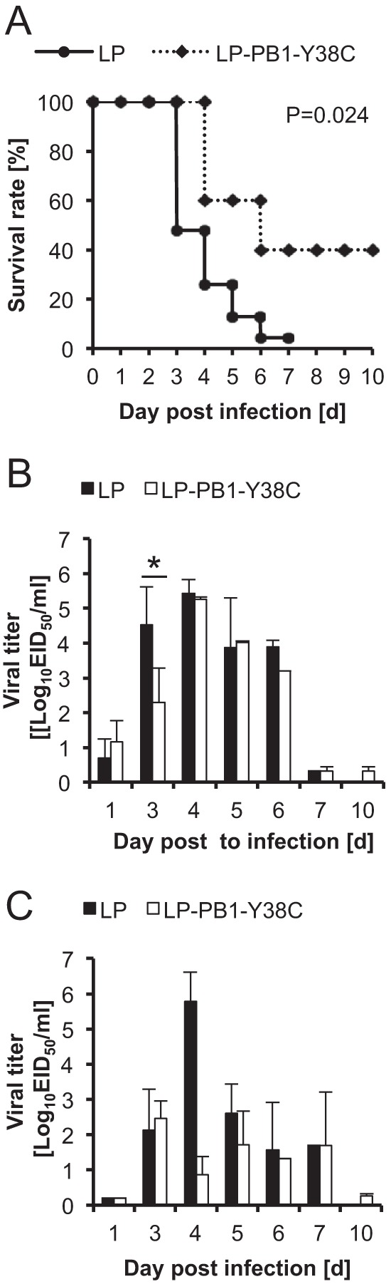 FIG 5