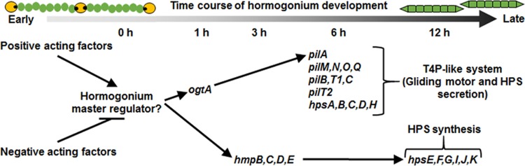 FIG 5