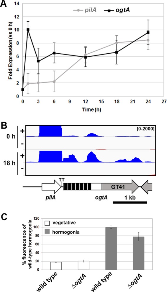 FIG 3