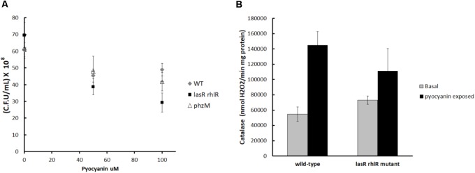 FIGURE 4