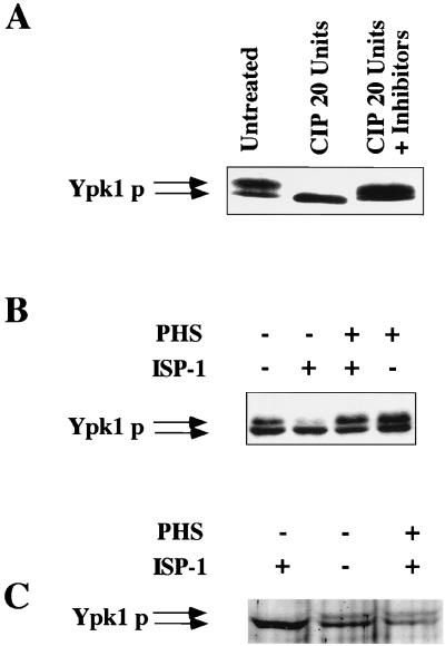 FIG. 6