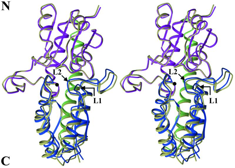 FIG.1.