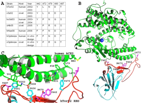 FIGURE 1.