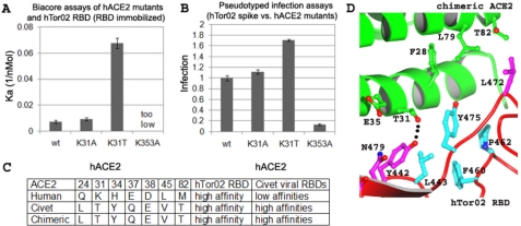 FIGURE 2.