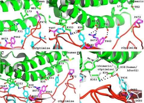 FIGURE 4.