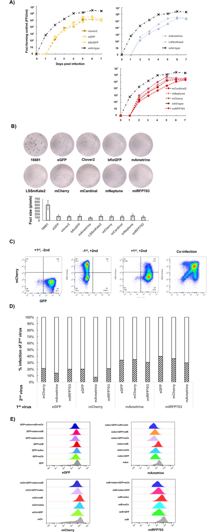 Fig 5