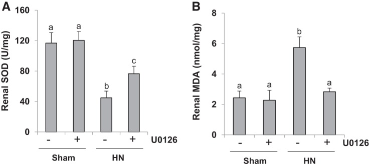 Fig. 10.