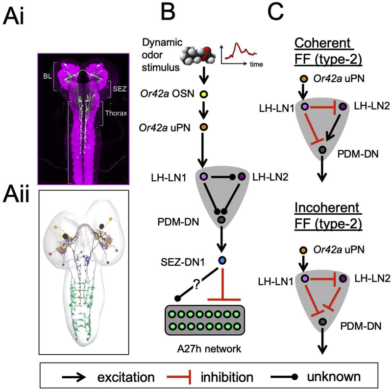 Figure 4: