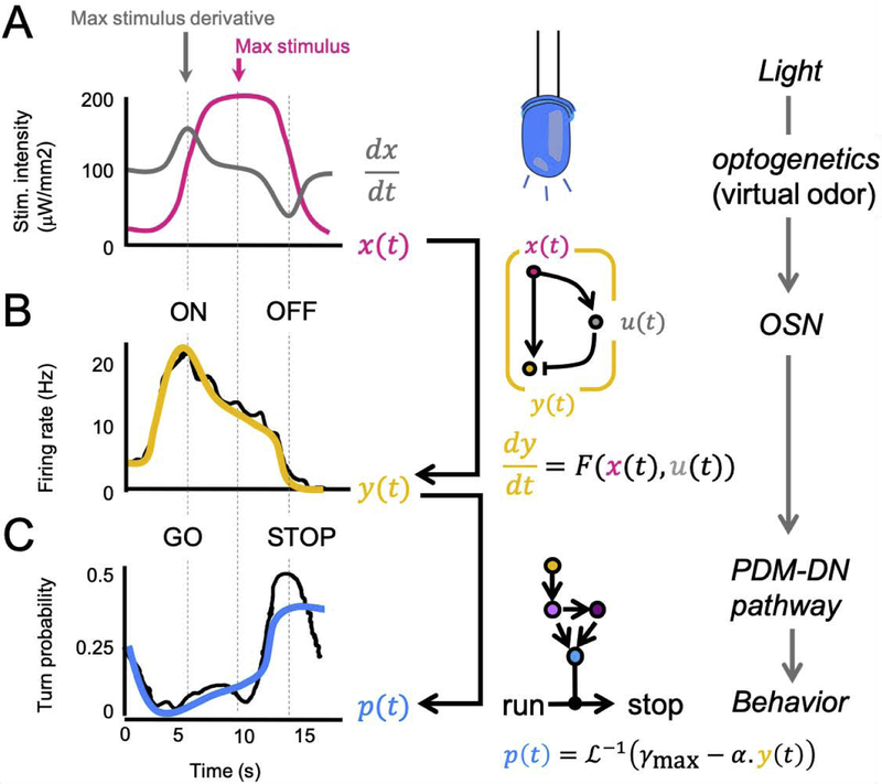 Figure 3: