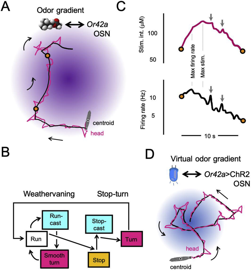 Figure 1: