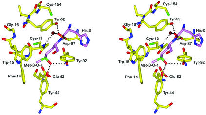 FIG. 8.