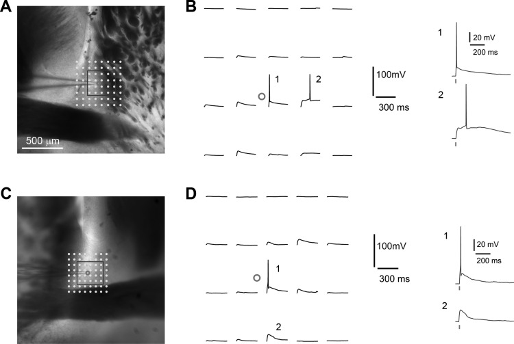 Fig. 2.