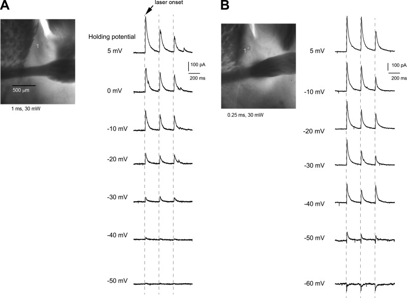 Fig. 8.