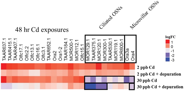 FIG. 5