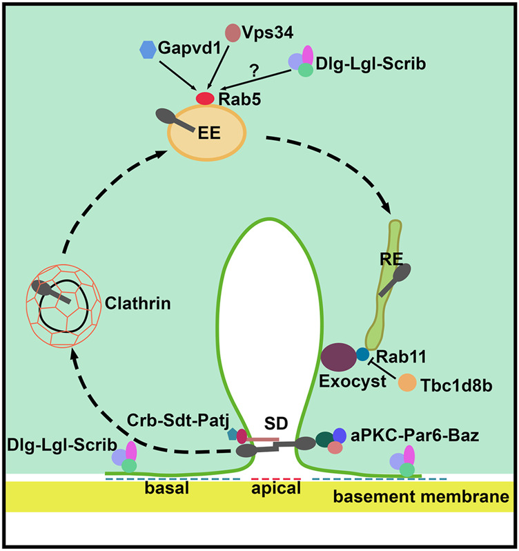 FIGURE 2