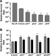 FIG 6