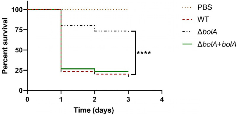 FIG 6