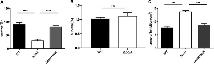 FIG 5