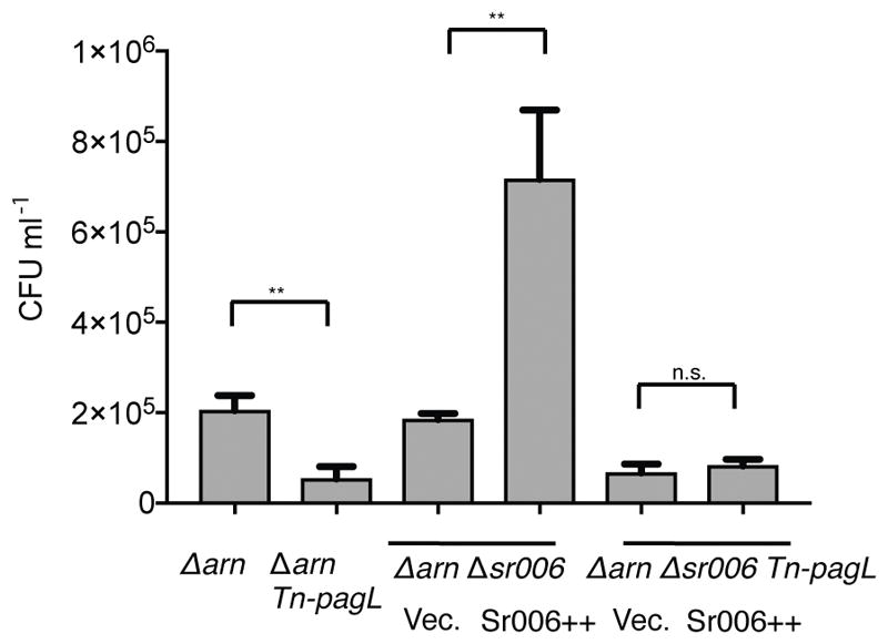 Fig. 12