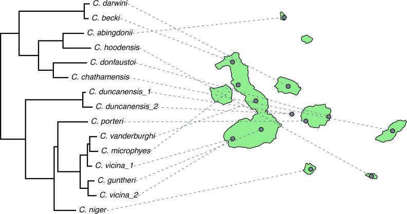 Figure 20