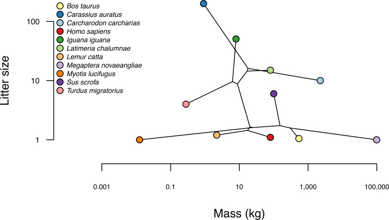 Figure 21