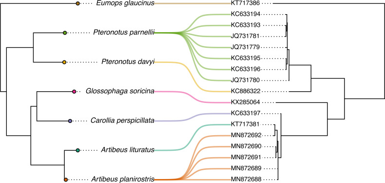 Figure 19