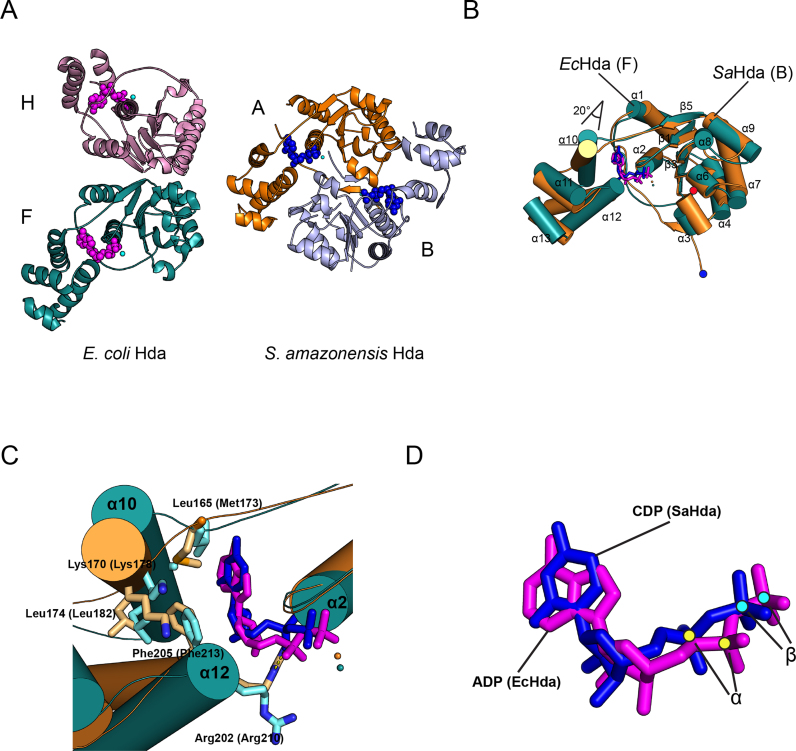 Figure 5.