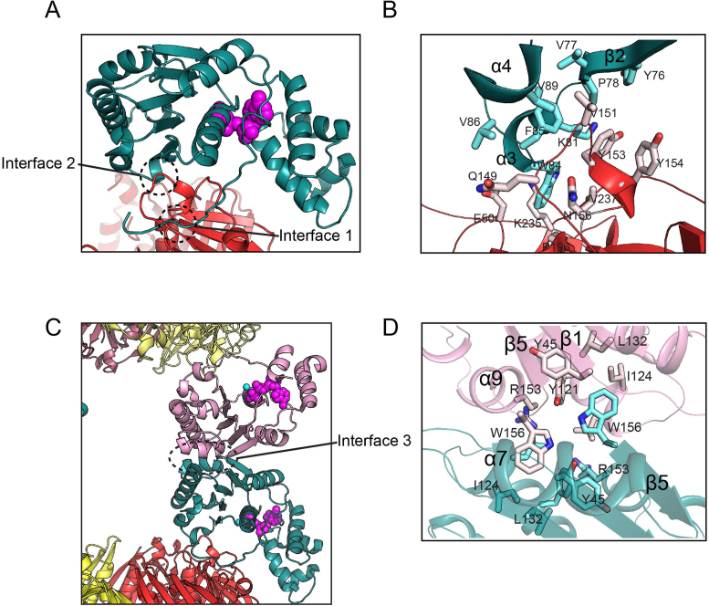 Figure 4.