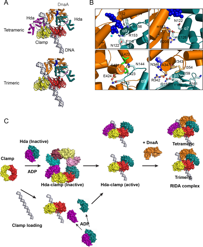 Figure 7.