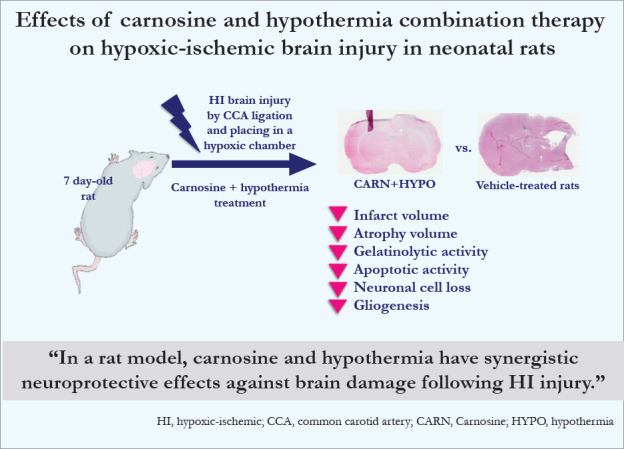 graphic file with name cep-2020-01837f6.jpg