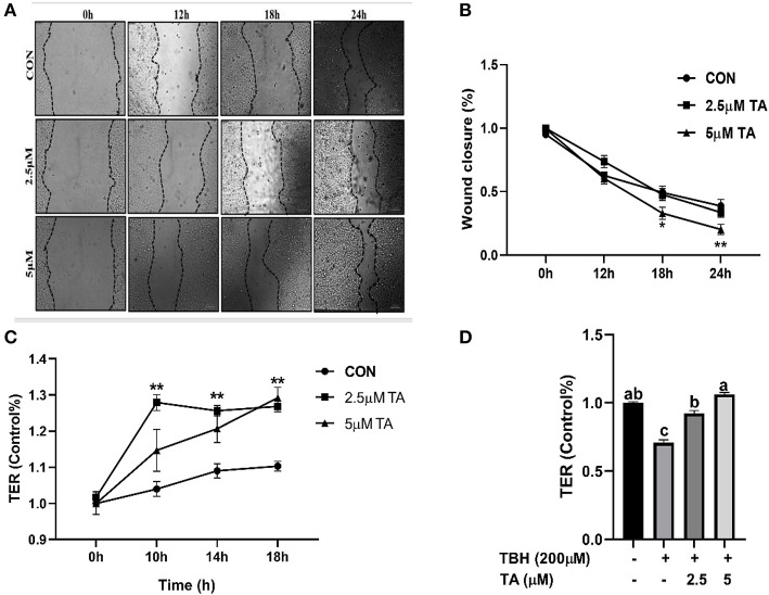 Figure 6