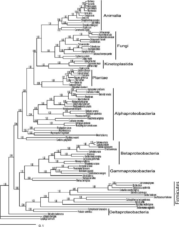 FIG. 7.