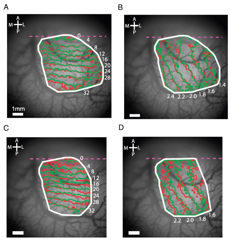 FIG. 5